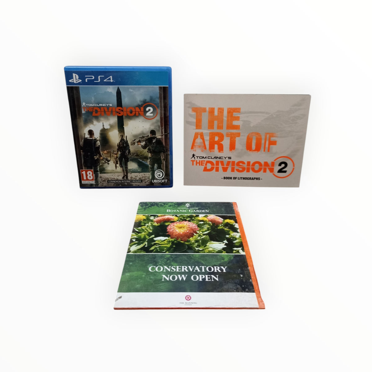 The Division 2 PlayStation 4 (PS4)