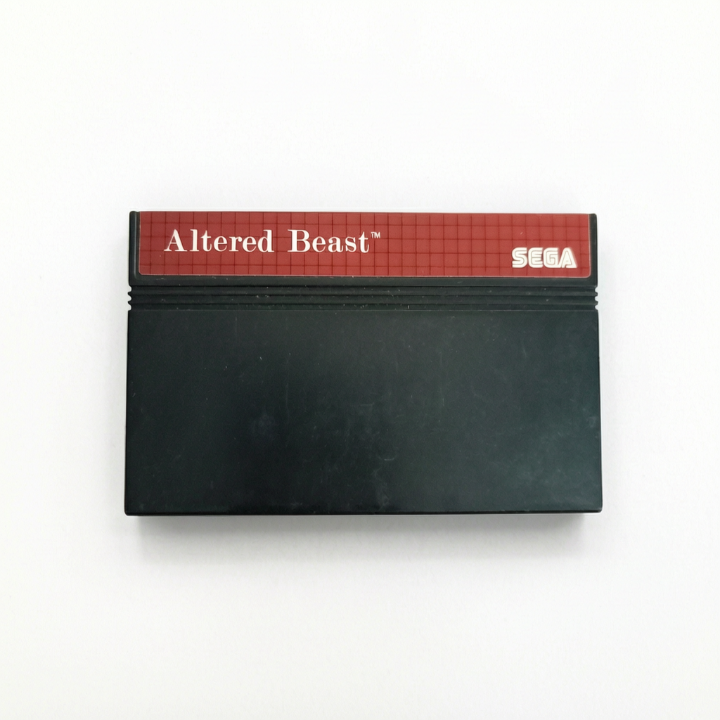 Altered beast master system