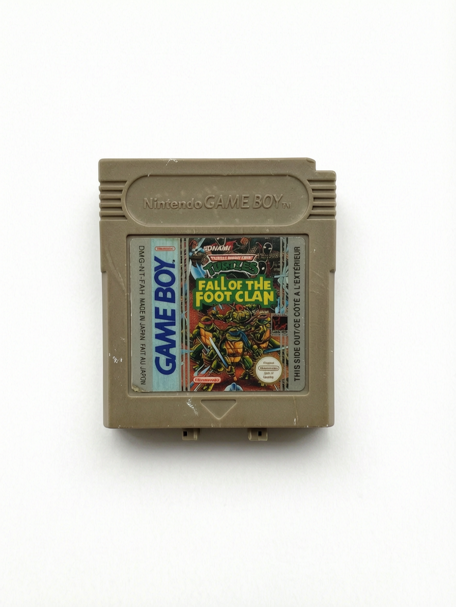 Teenage Mutant Ninja Turtles : Fall of the Foot Clan