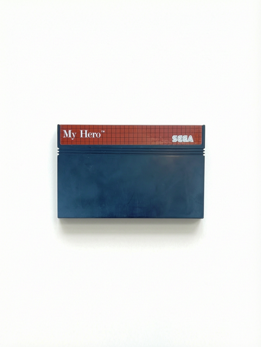 My Hero Master System