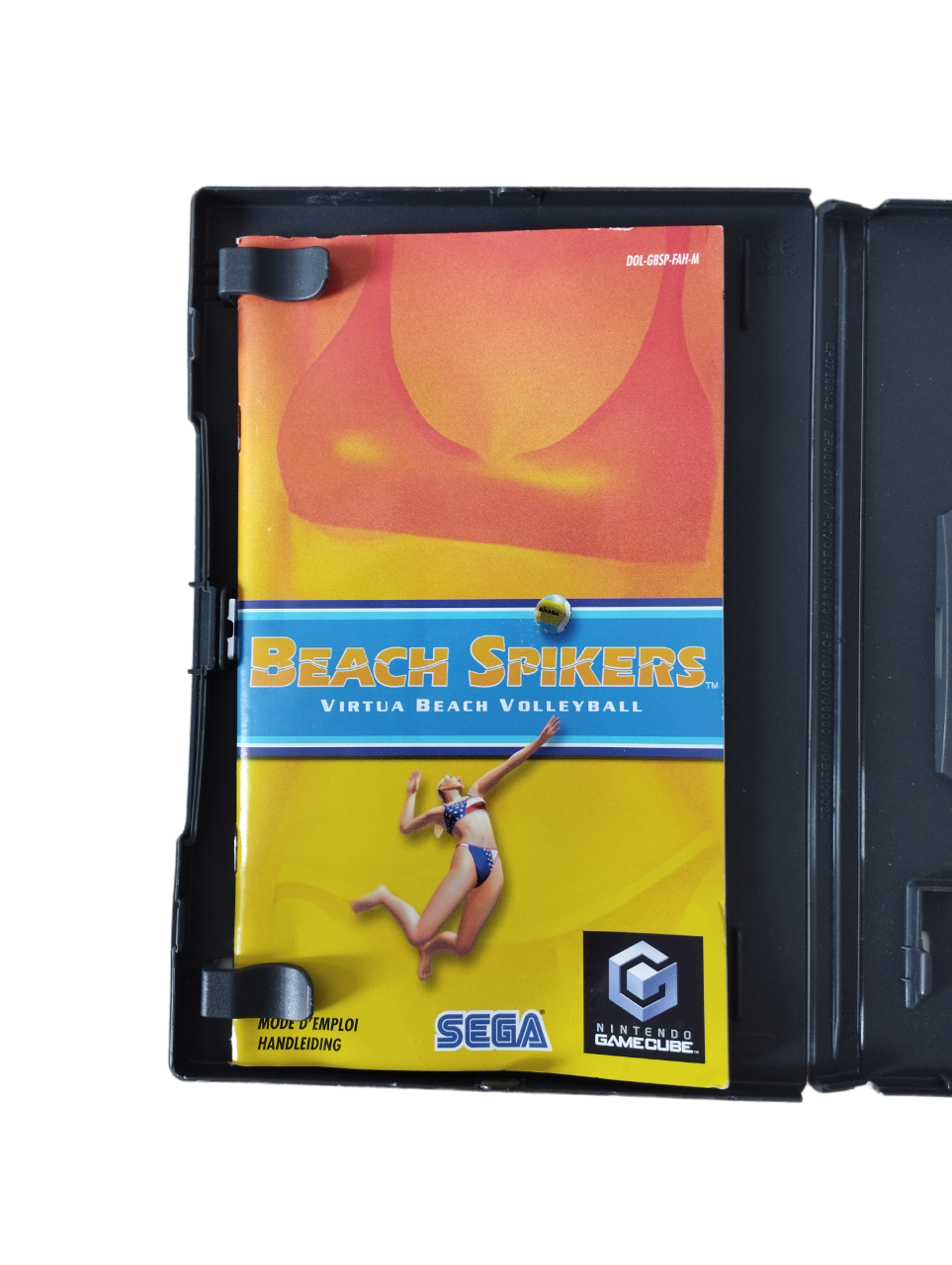 Beach Spikers