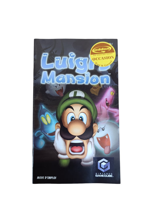 Notice Luigi's Mansion