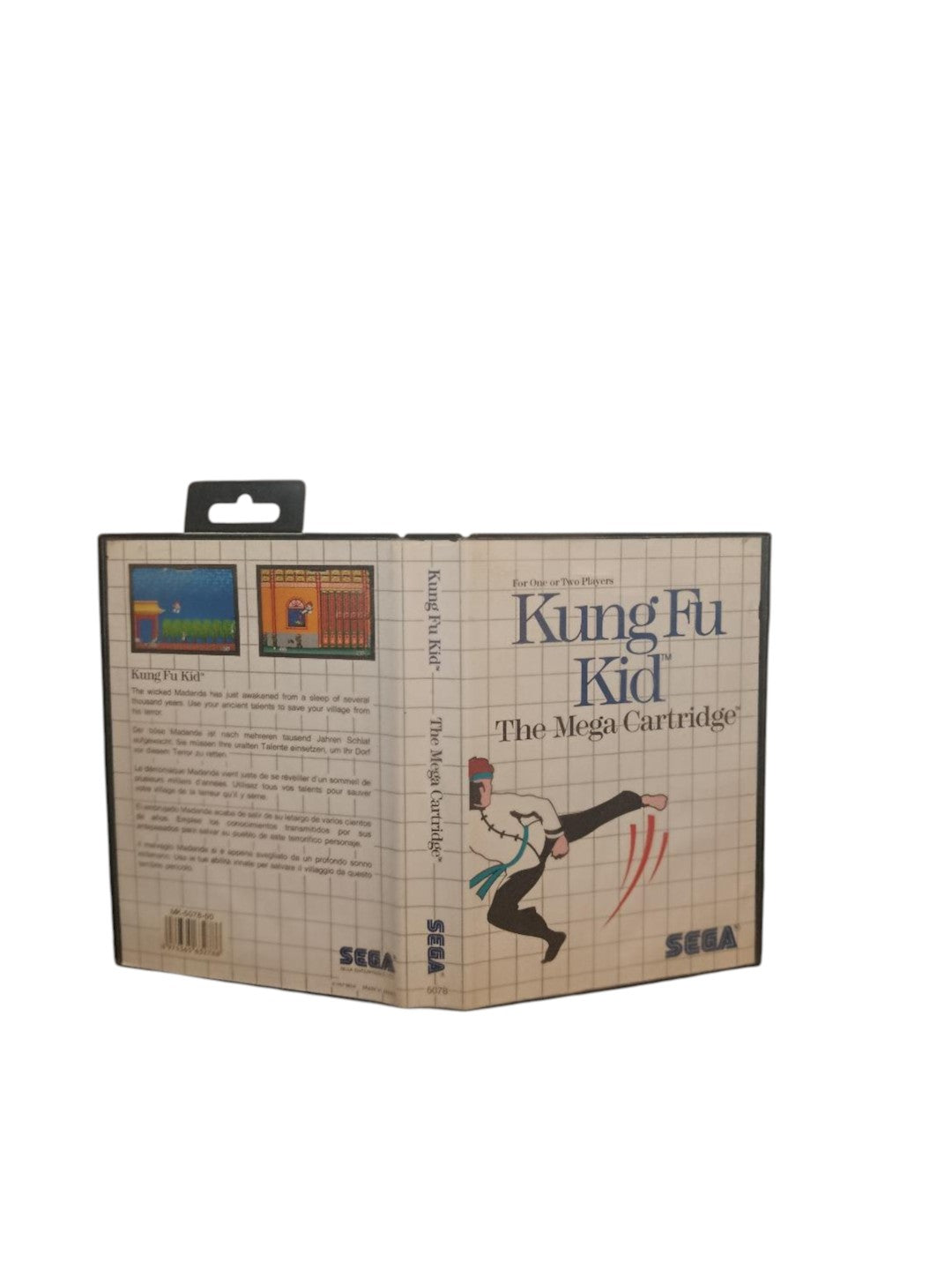 Kung Fu KId Master System
