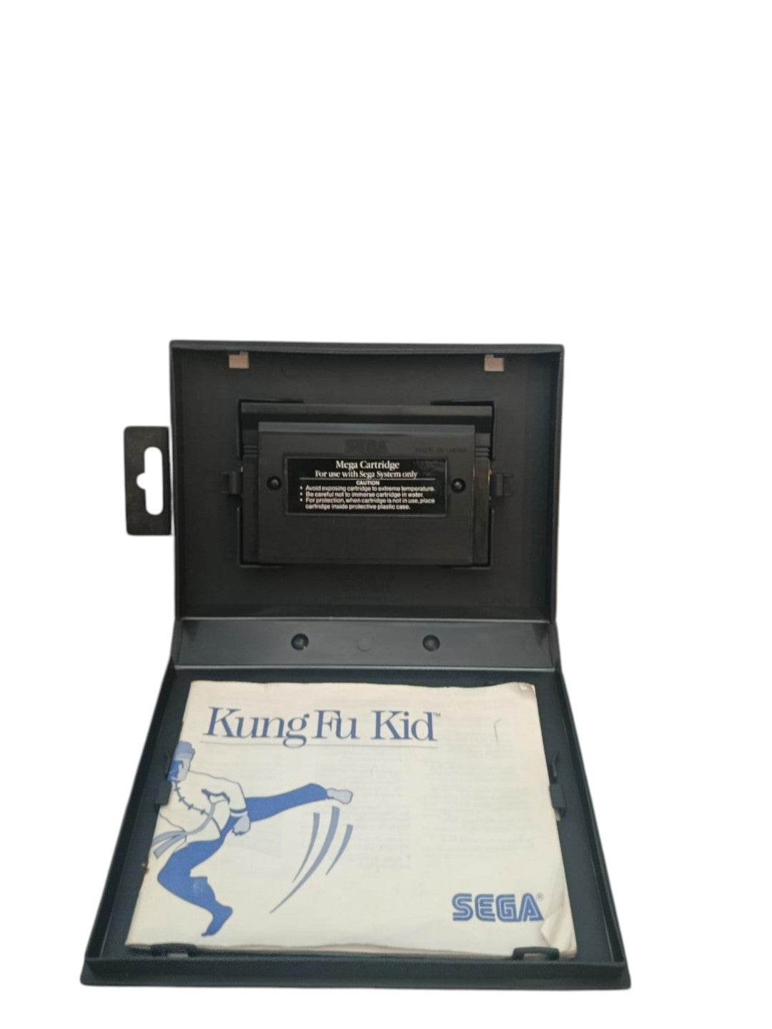 Kung Fu KId Master System