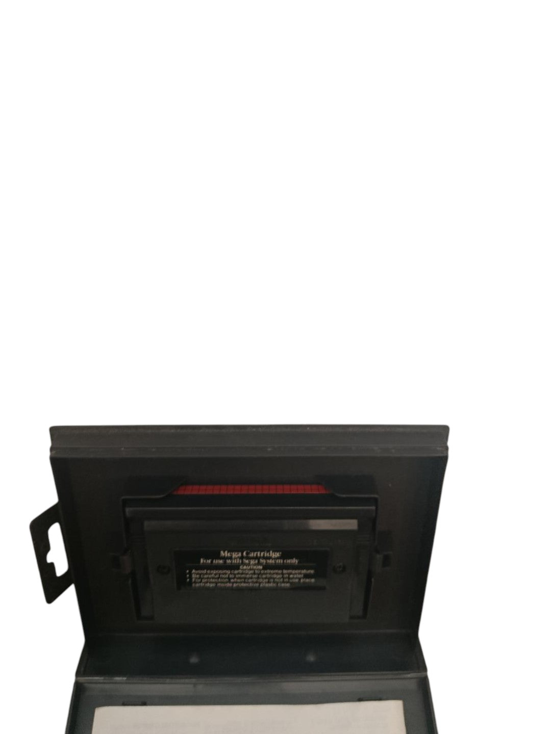 Kung Fu KId Master System