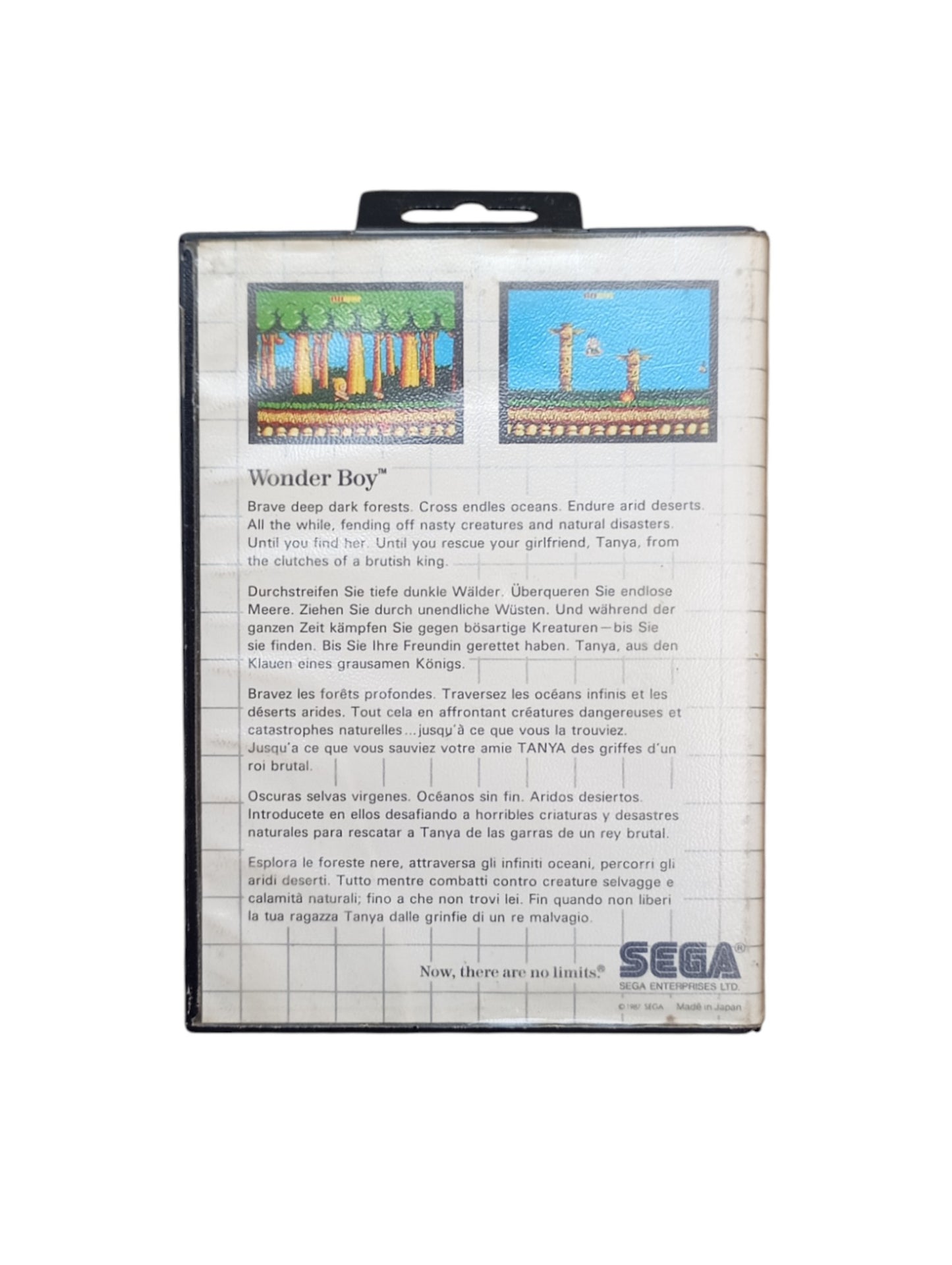 Wonder Boy – Sega Master System (sans notice)