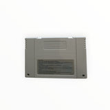 The pagemaster super nintendo (SNES)