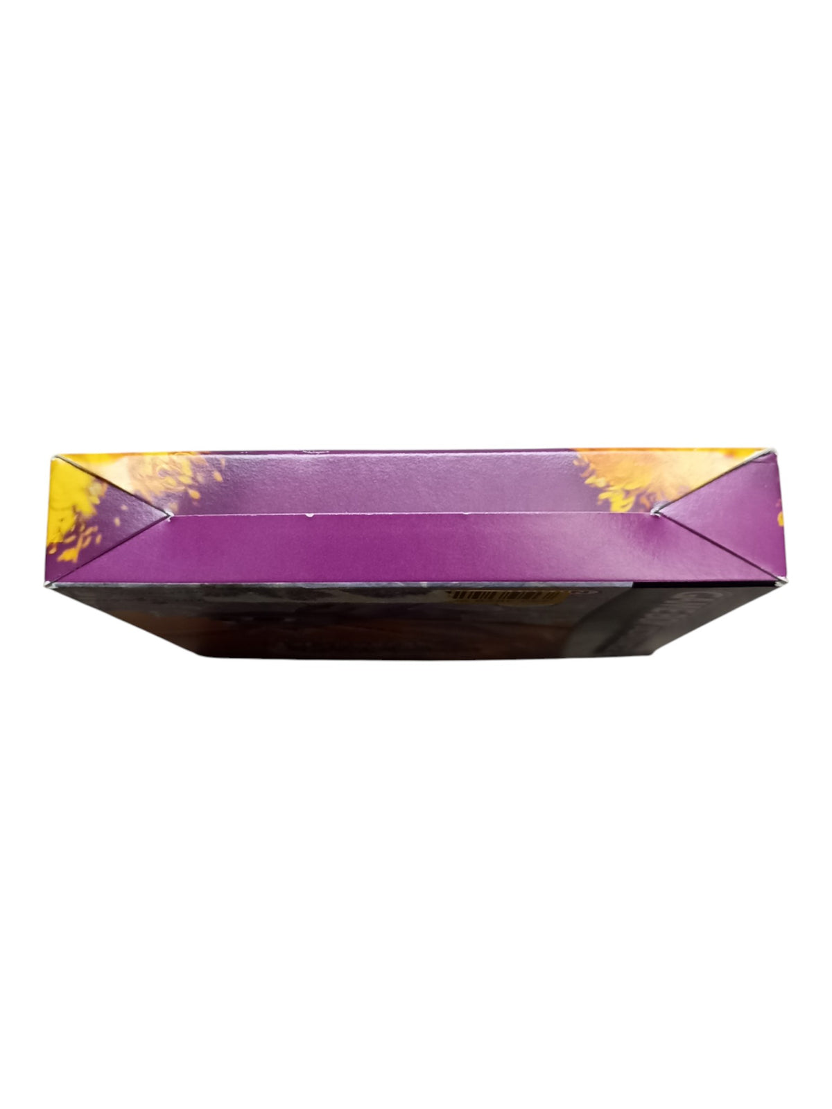 Spyro : Season of Ice Game Boy Advance (GBA) FRA Complet
