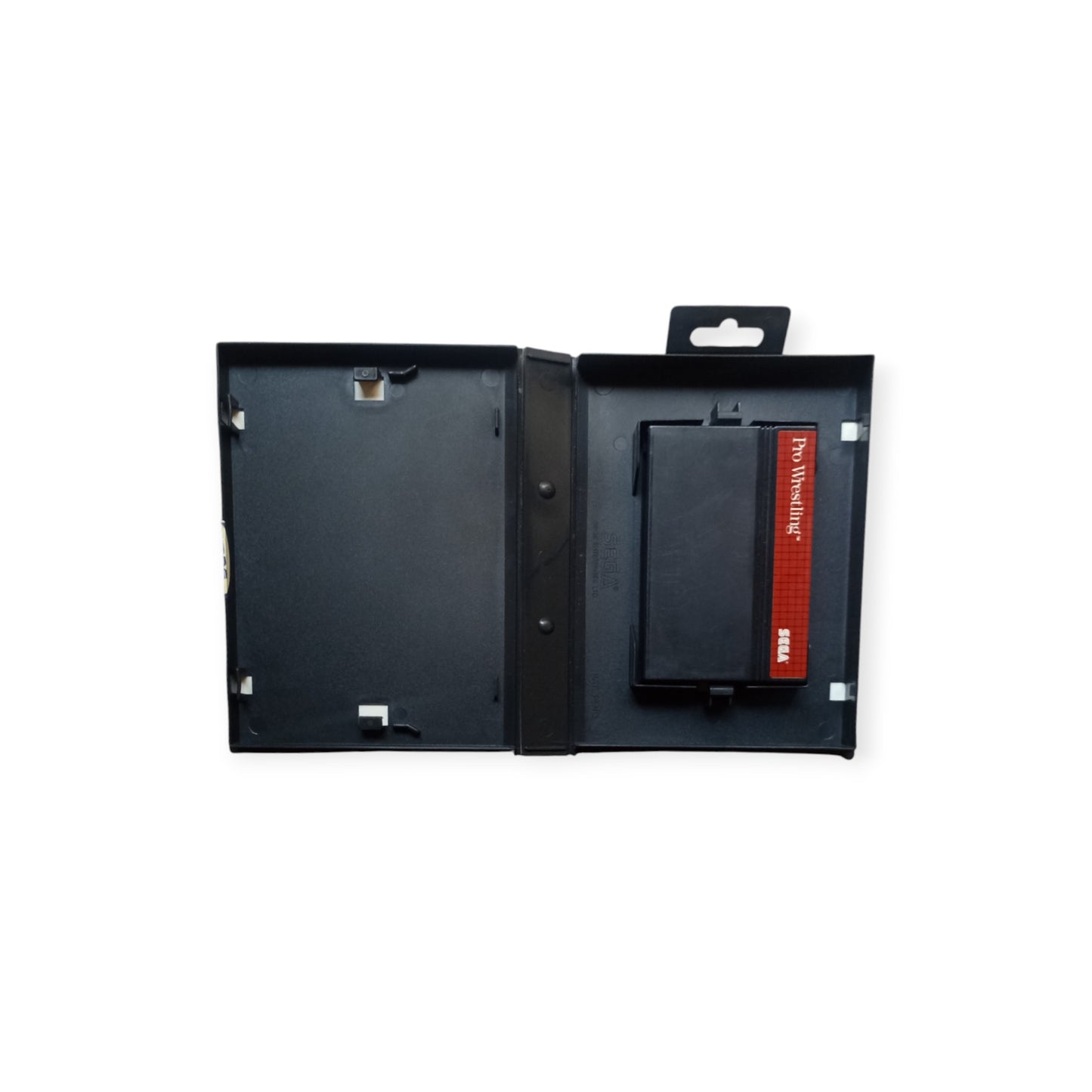 Pro Wrestling Master System