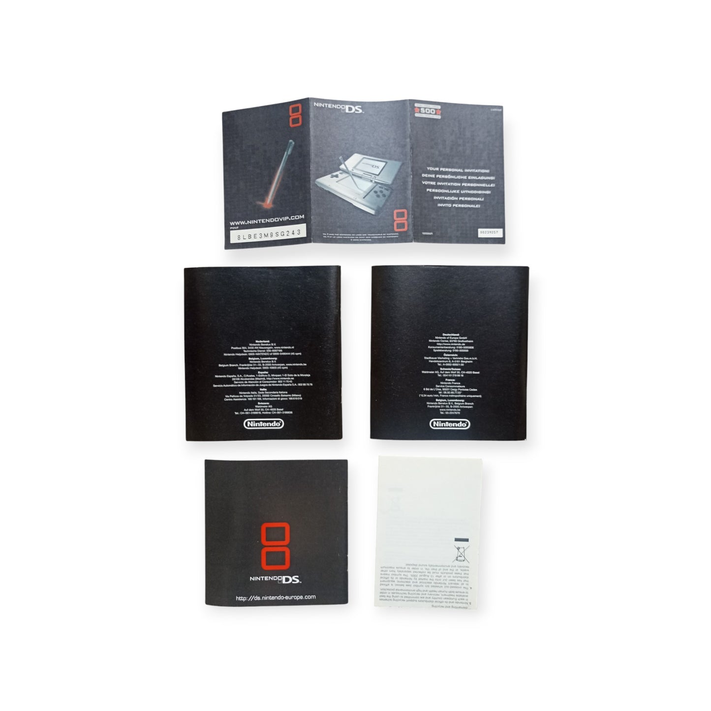 Boîte Nintendo DS Fat