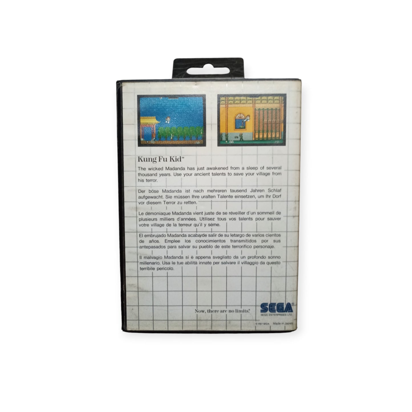 Kung Fu KId Master System