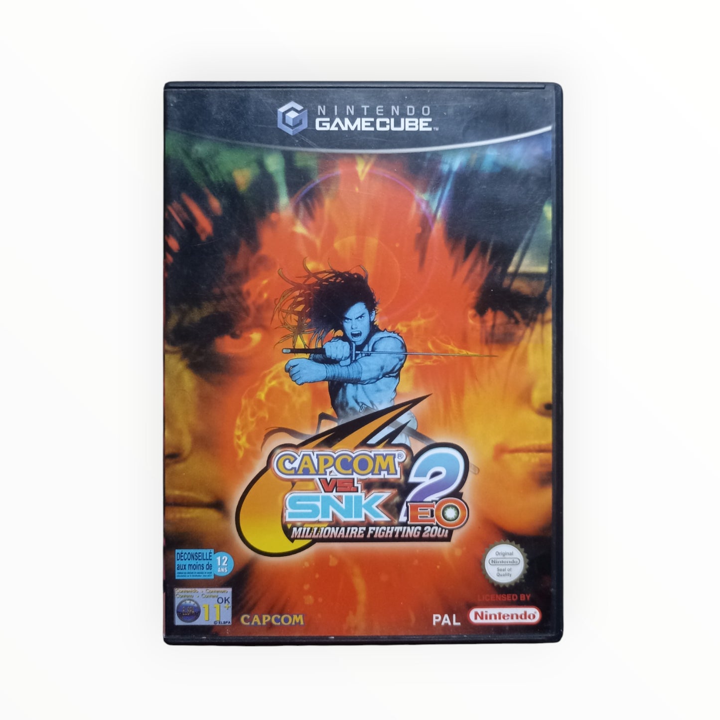 Capcom vs. SNK 2 EO : Millionaire Fighting 2001