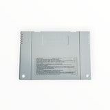 Champions PSG Super Nintendo (SNES )