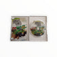 Sprint Cars Wii