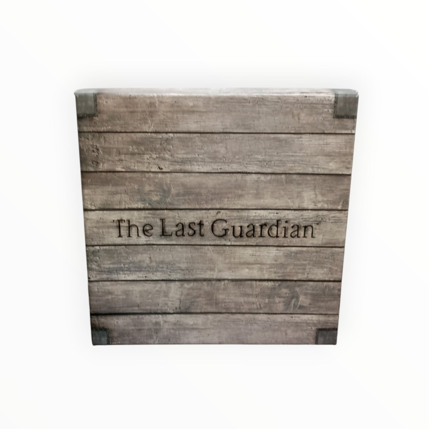 Pack The Last Guardian Playstation 4 (PS4)