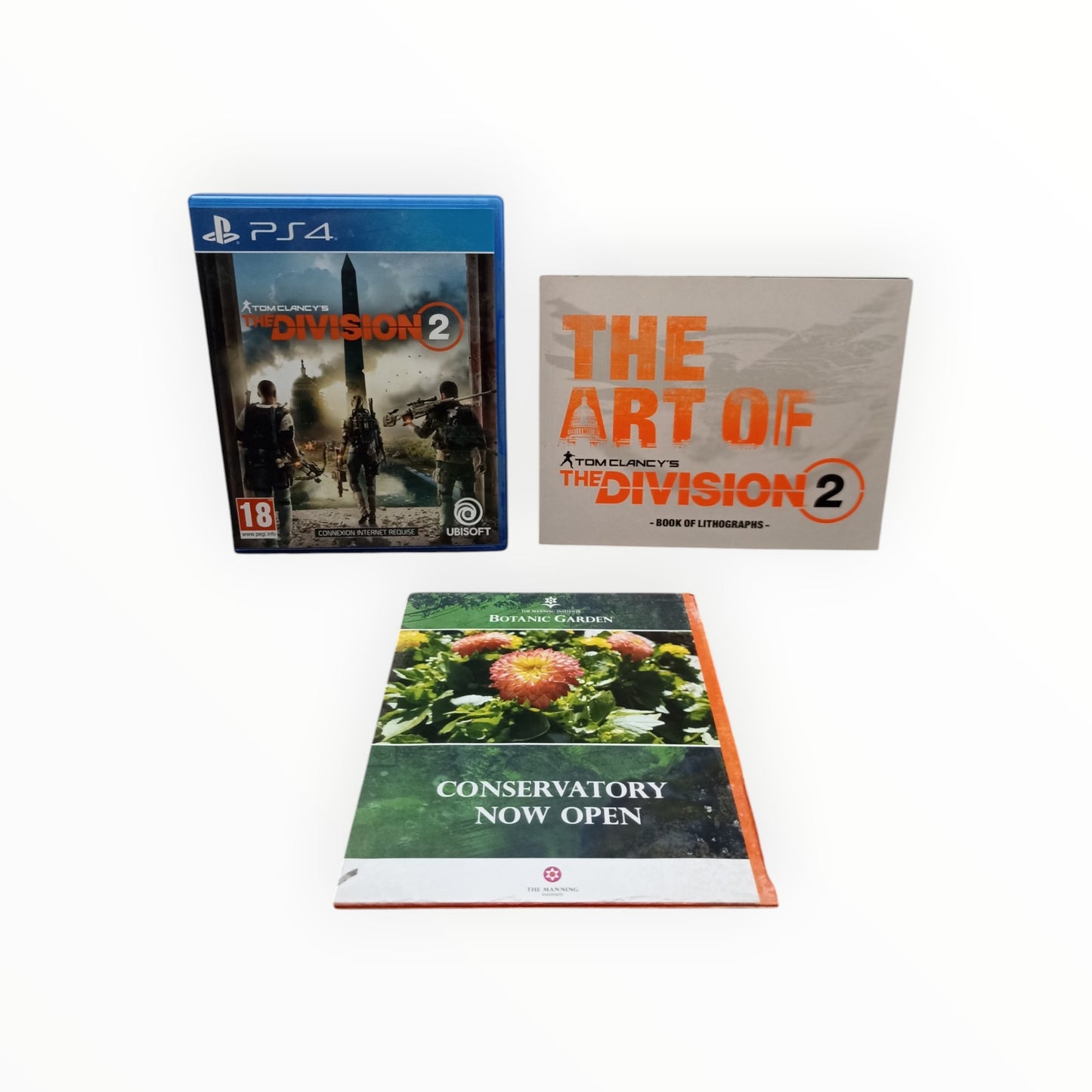 The Division 2 PlayStation 4 (PS4)