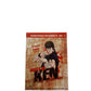 Hokuto no Ken épisodes 1 à 22 DVD Collector