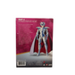Saint Seiya Andromeda Box Part 4 DVD Collector FRA