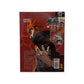 Naruto Shippuden Volume 11 DVD Collector Neuf FRA