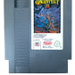 Gauntlet NES