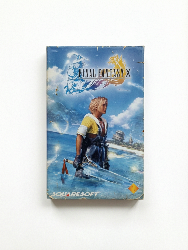 Notice Final Fantasy X Playstation 2 (PS2)