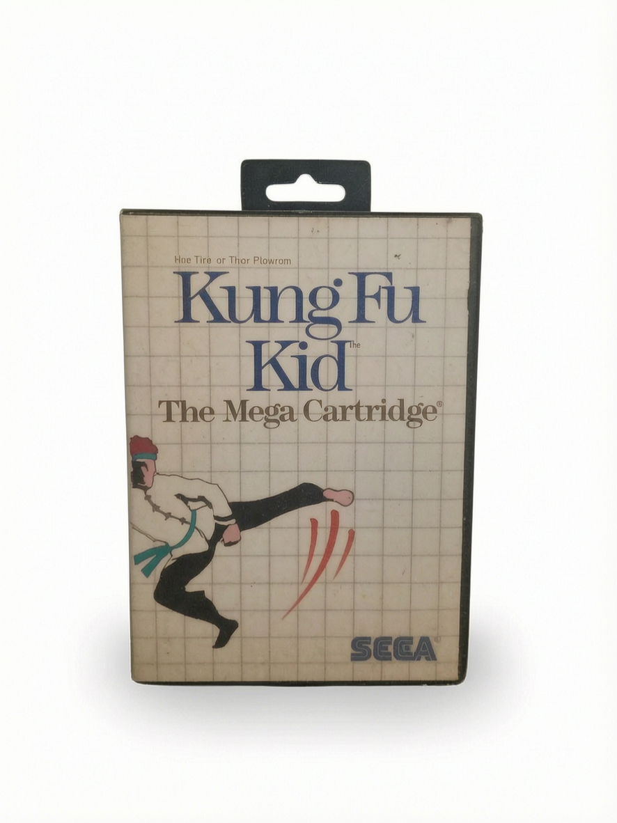 Kung Fu KId Master System