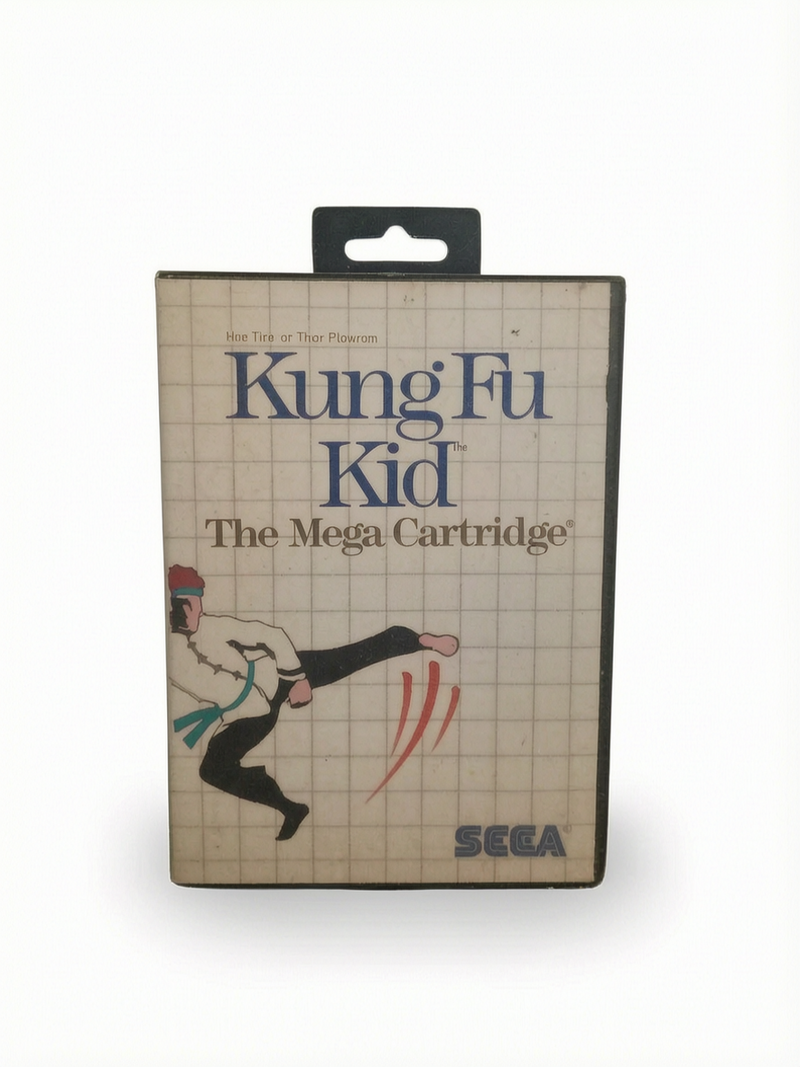Kung Fu KId Master System