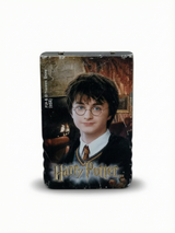 Carte mémoire Nintendo GameCube Version Harry Potter