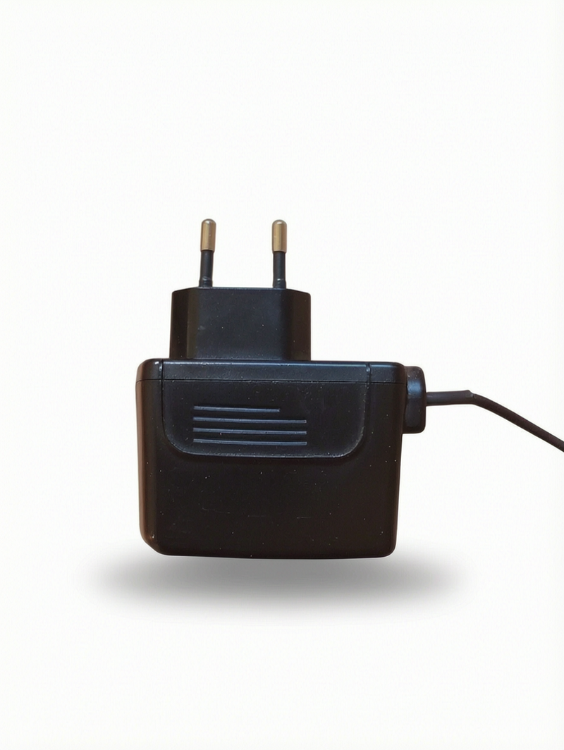 Chargeur Officiel Nintendo DS FAT