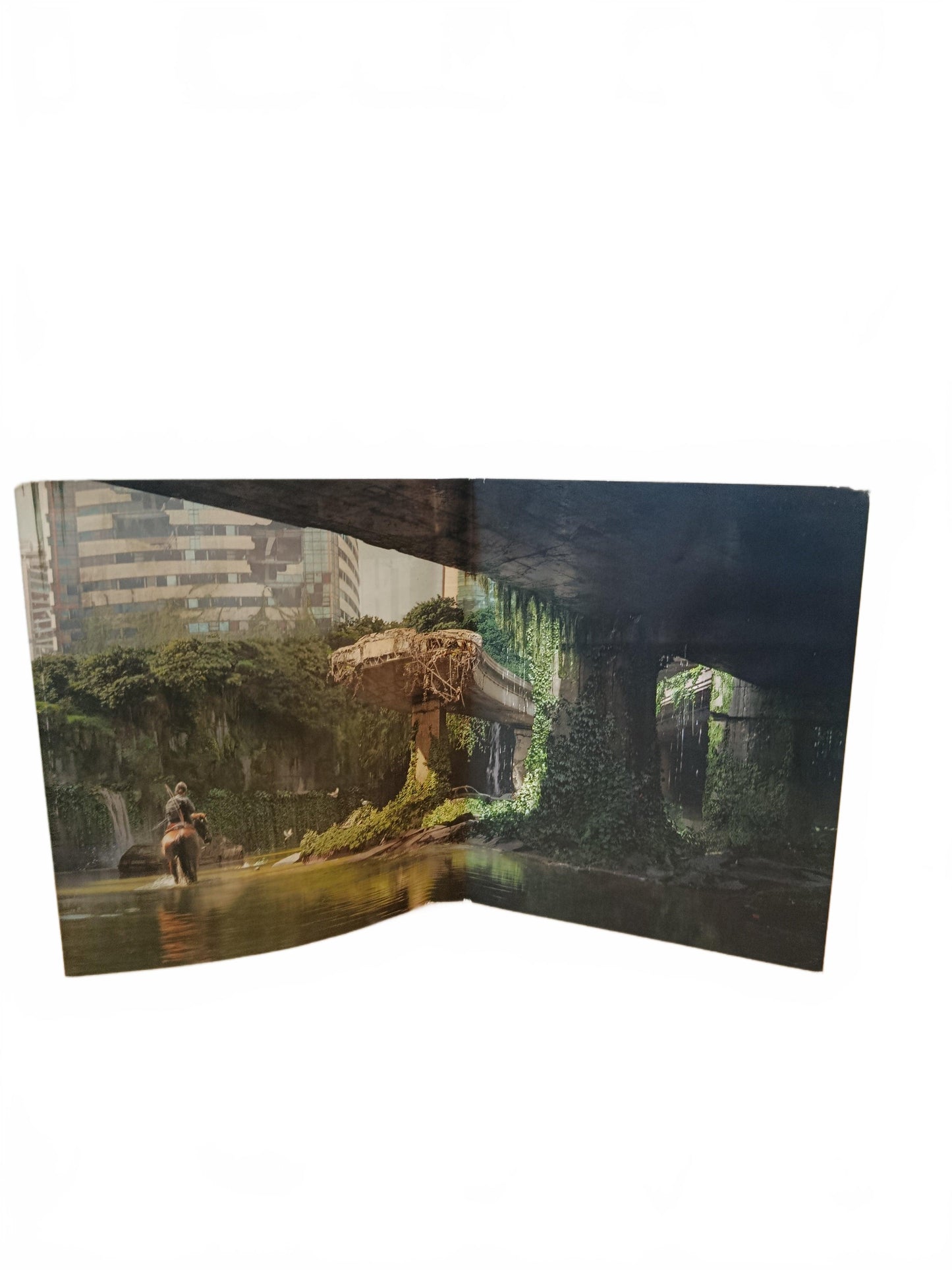 jaquette Seule The Last Of US Part II Playstation 4 (PS4)