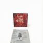 Notice seule Street Fighter Alpha 3 Playstation 1 (PS1)