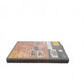 Evolution Skateboarding Version NOE nintendo GameCube Neuf sous blister