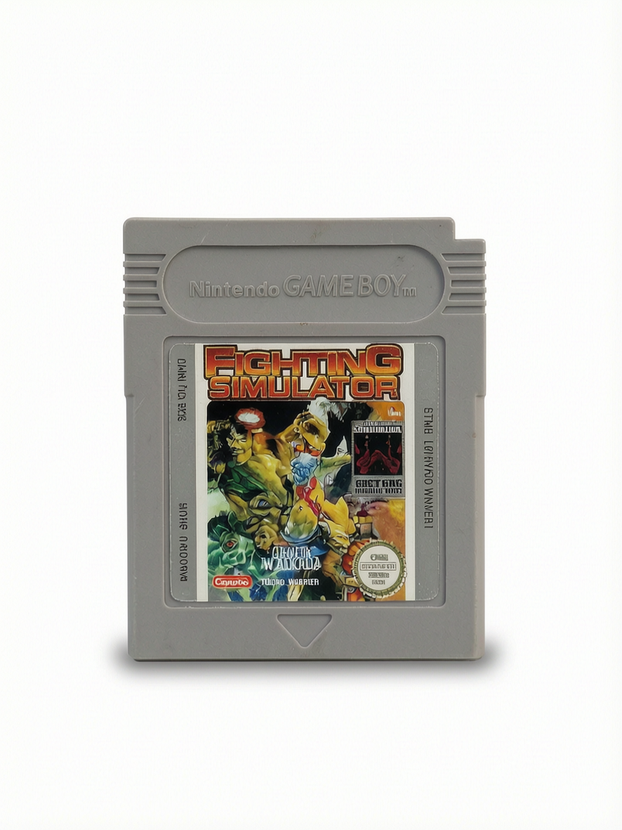 Fighting Simulator 2 in 1 GB Game Boy Cartouche seule Version NOE