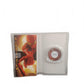 Spider-Man 2 PSP Playstation Portable Complet FRA