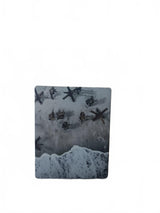 Call of Duty WWII Playstation 4 (PS4) Neuf