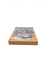 Shantae Day One Edition Playstation 4 (PS4)