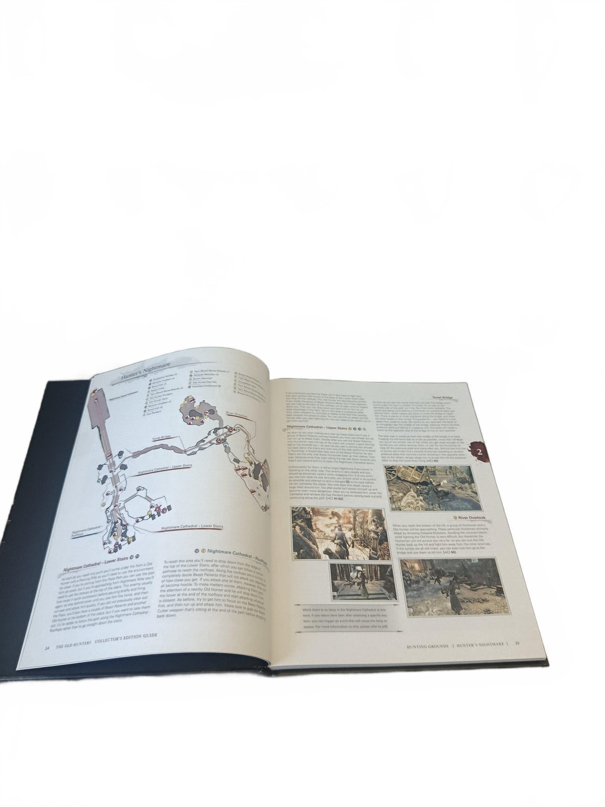 Guide de jeu Bloodborne Collector's