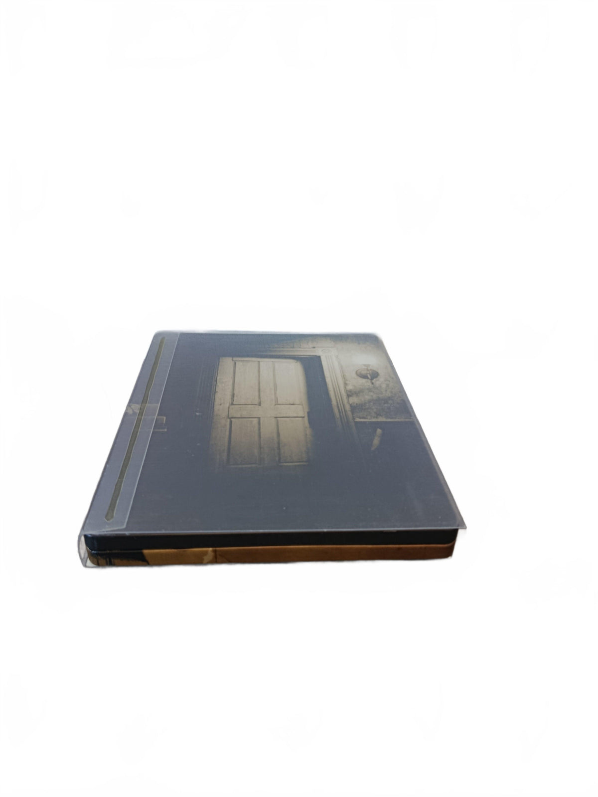 Steelbook Résident Evil Biohazard  Playstation 4 (PS4)