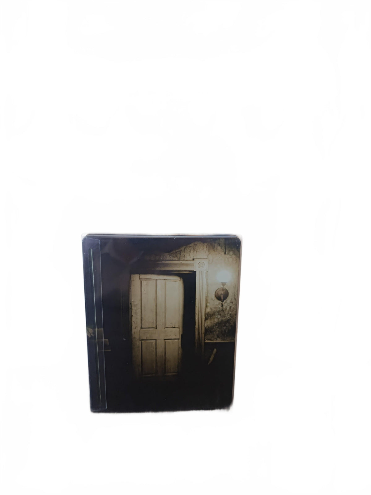 Steelbook Résident Evil Biohazard  Playstation 4 (PS4)