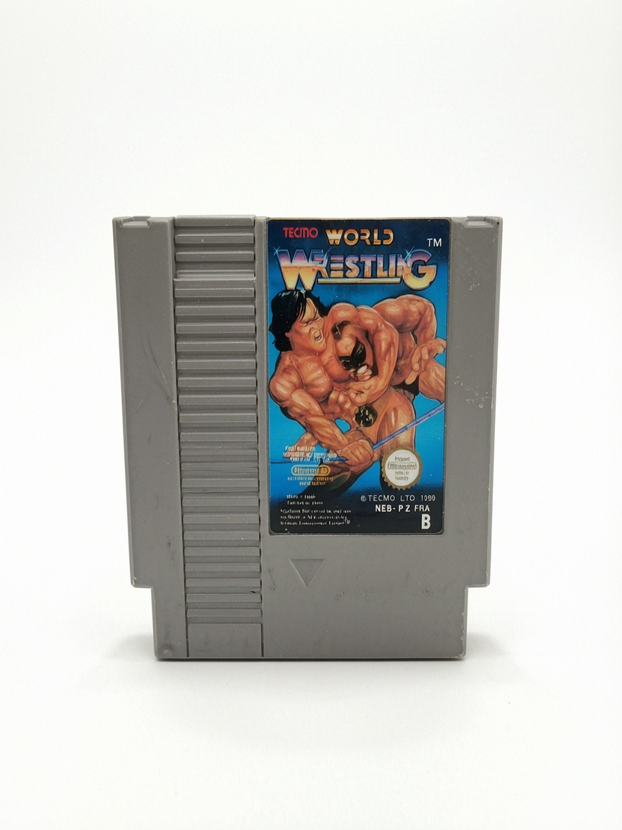 Tecmo World Wrestling, Nintendo Entertainment System NES