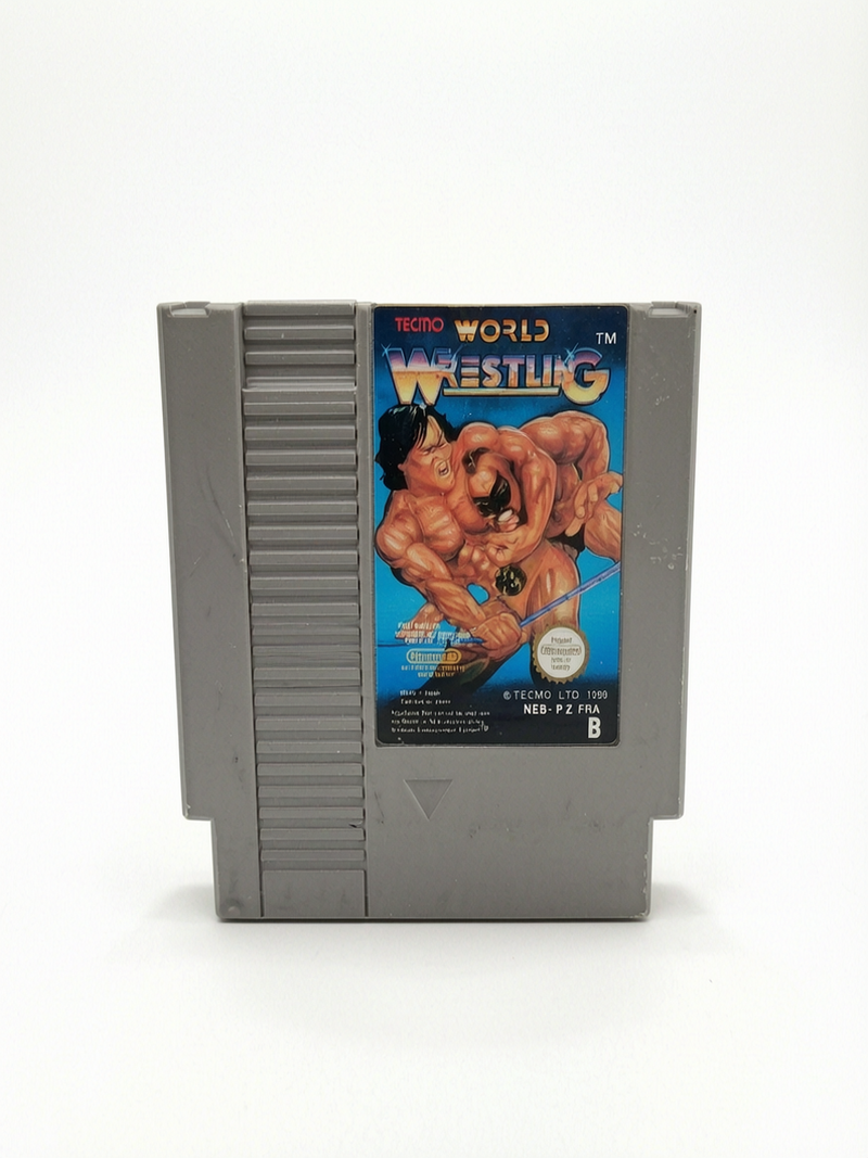 Tecmo World Wrestling, Nintendo Entertainment System NES