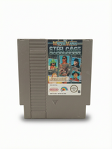 WWF WrestleMania: Steel Cage Challenge NES