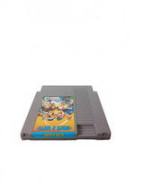 North & South NES