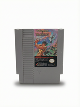 Wizards & Warriors NES