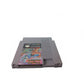 Wizards & Warriors NES