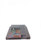 Wizards & Warriors NES