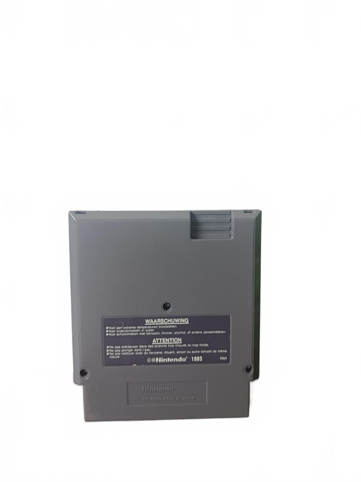Wizards & Warriors NES