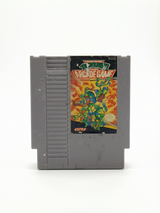 Teenage Mutant Ninja Turtles II: The Arcade Game Nintendo NES Version USA