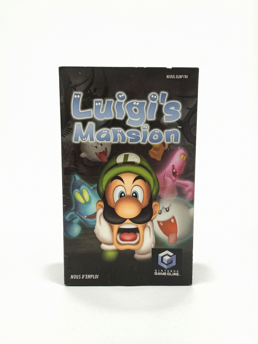 Notice Luigi's Mansion