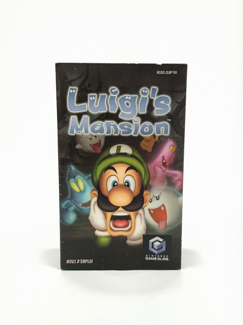 Notice Luigi's Mansion